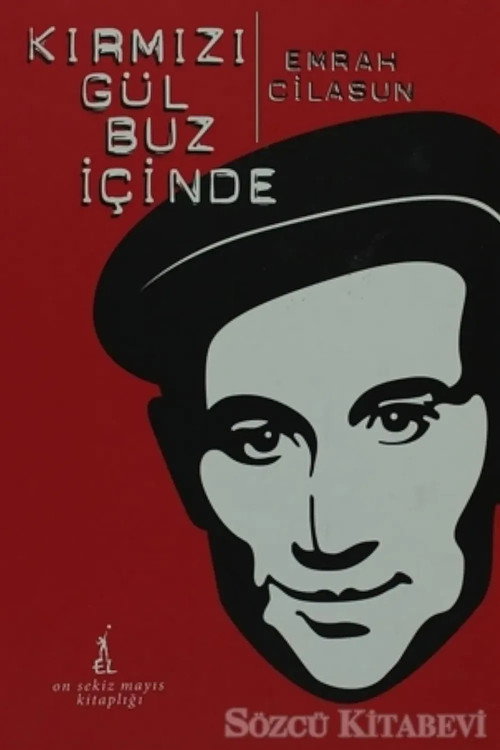 Kırmızı Gül Buz İçinde Poster