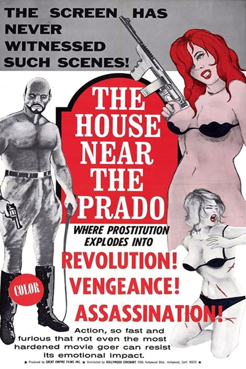 The House Near the Prado Poster