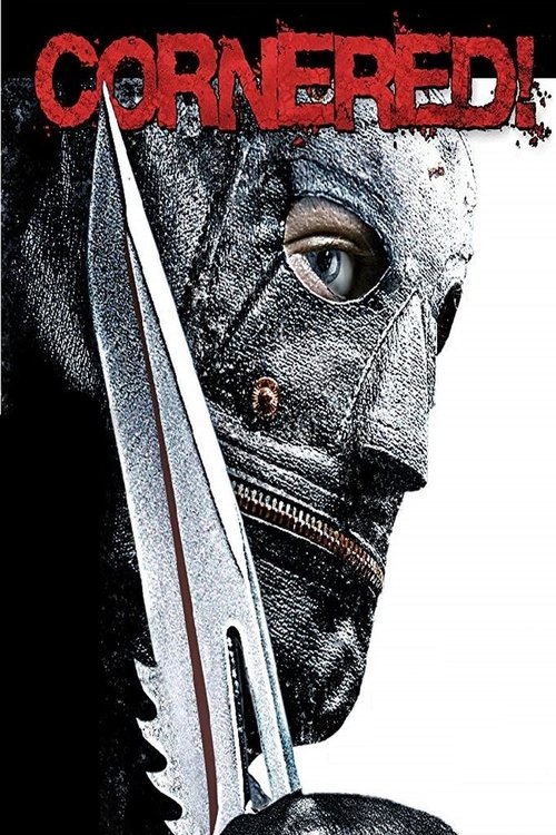 Cornered! Poster