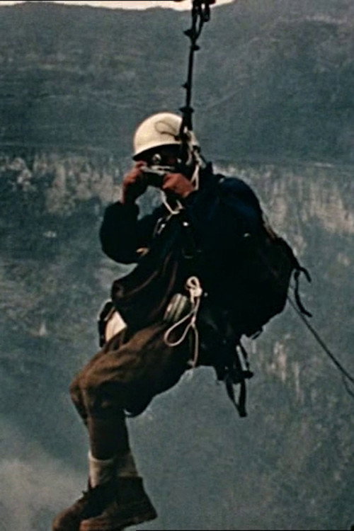 Comme uńe araignée sur son fil Poster