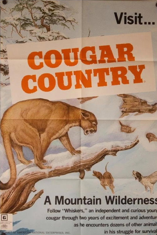 Cougar Country Poster