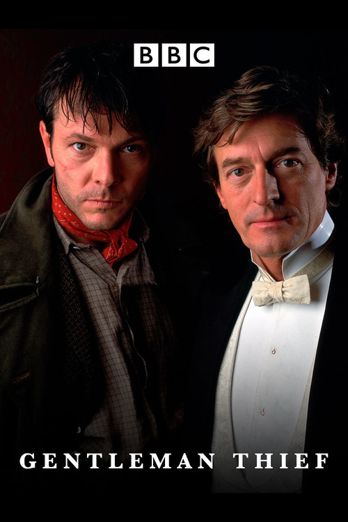 The Gentleman Thief Poster