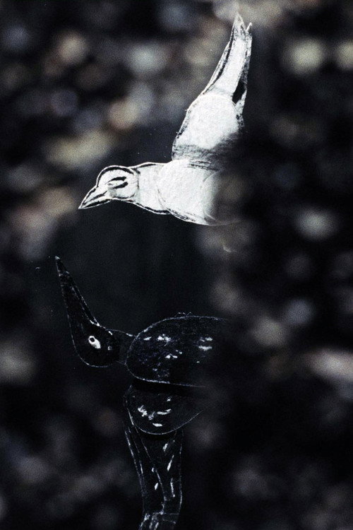 Der lange Weg Poster