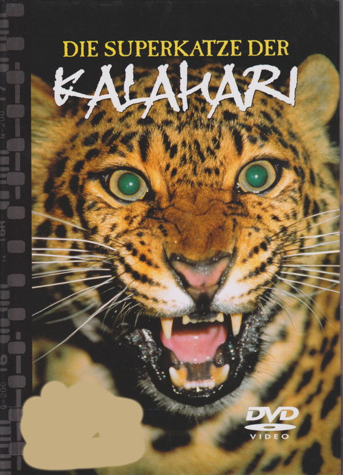 Natural Killers Predators Close Up: Kalahari Supercat Poster