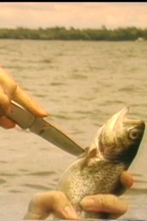 The Myth of the Fishes Poster