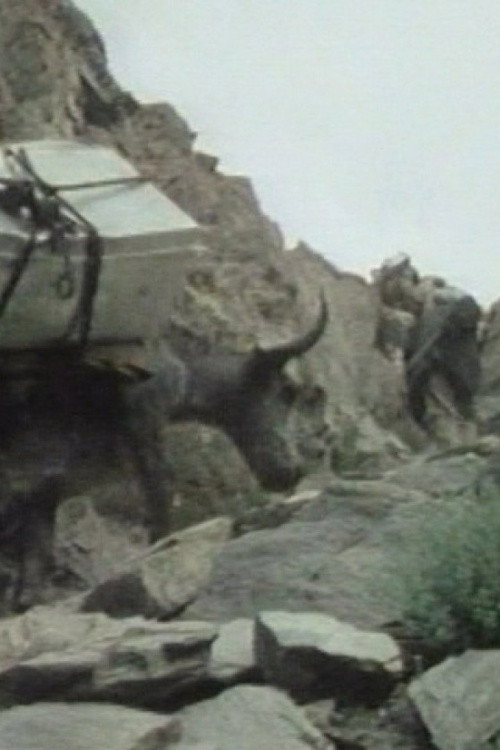 The Kirghiz of Afghanistan Poster