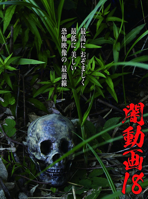 Tokyo Videos of Horror 18 Poster