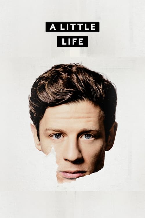 A Little Life Poster