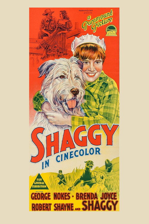 Shaggy Poster