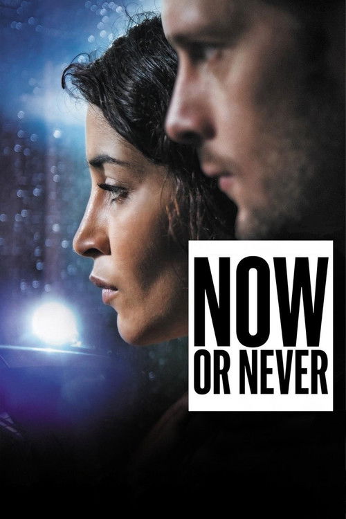 Now or Never Poster