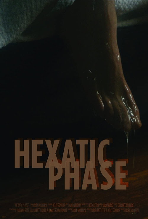Hexatic Phase Poster