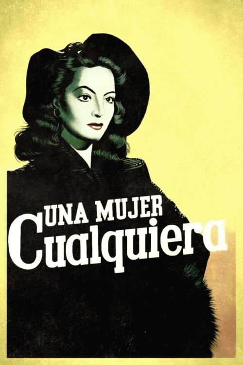 An Ordinary Woman Poster