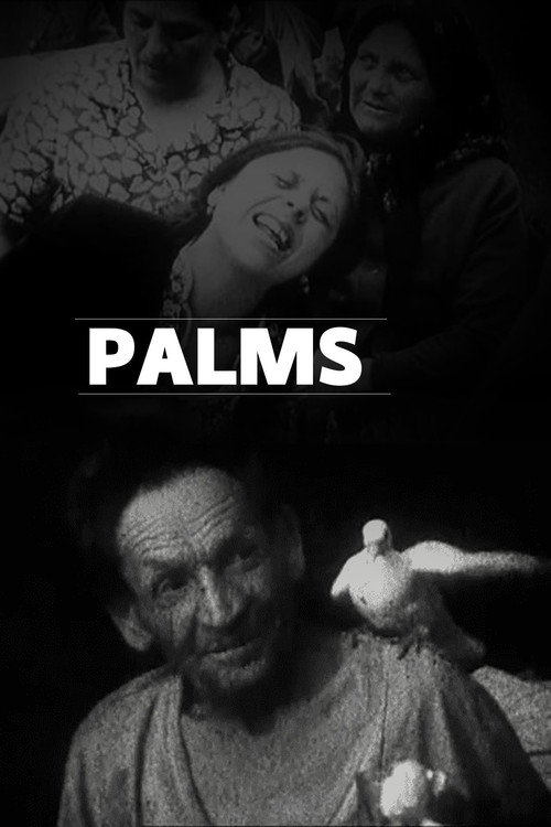 Palms Poster