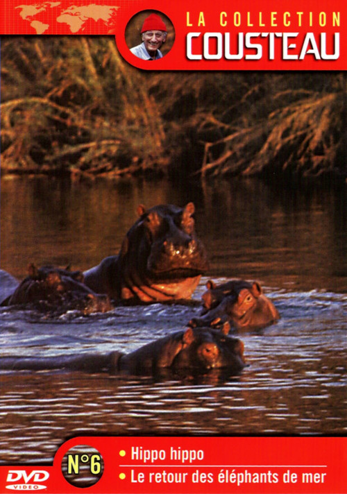 The Cousteau Collection N°6-1 | Hippo, Hippo Poster