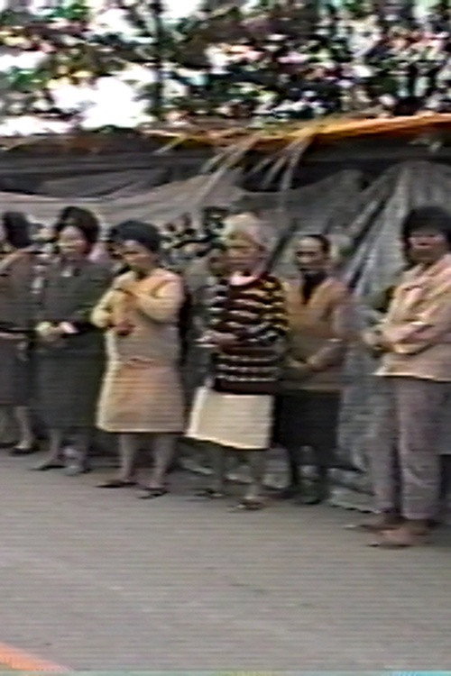 The Battle between Shui Yuan Village and LCY Chemical Corp. Poster