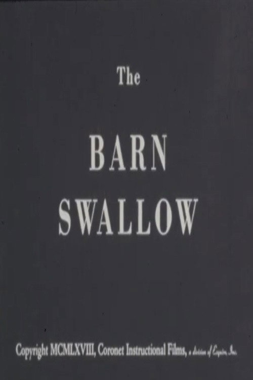 The Barn Swallow Poster