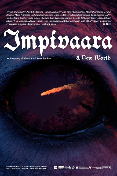 Impivaara - A New World Poster