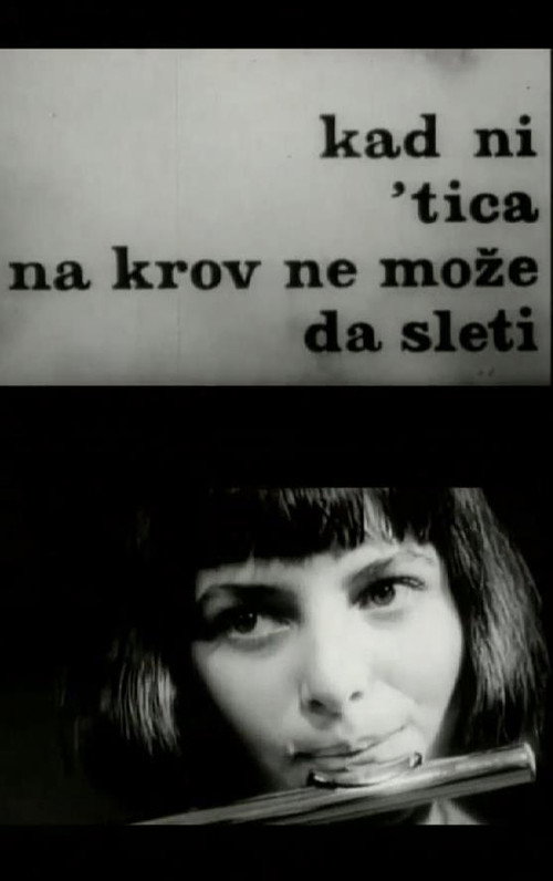 When Not Even a Bird Can Land on a Roof Poster