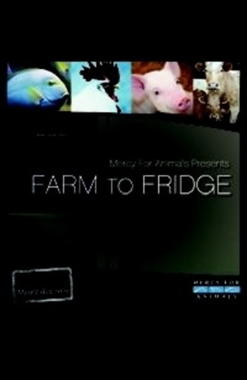 Farm to Fridge Poster