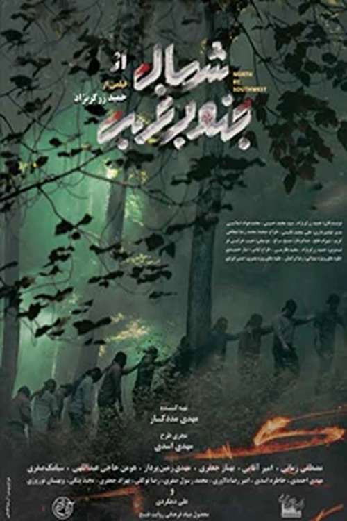 North by Southwest Poster