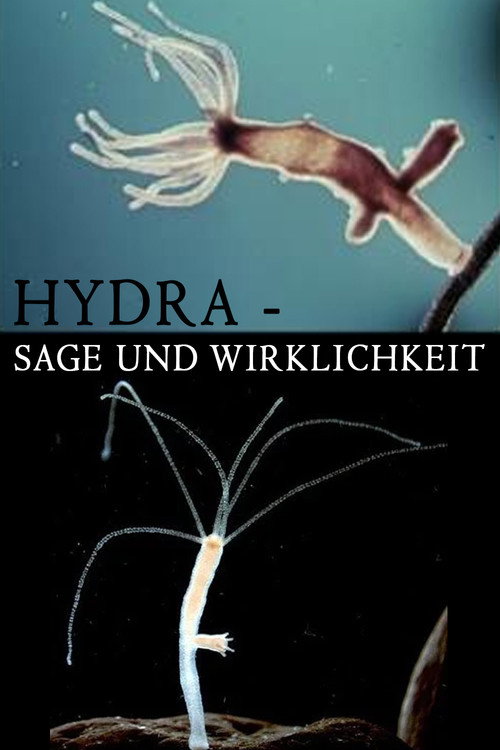 Hydra - Legend and Reality Poster