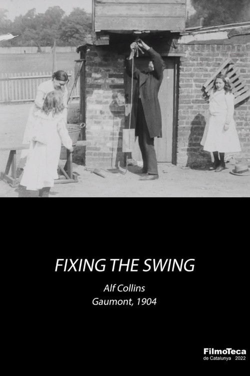 Fixing the Swing Poster