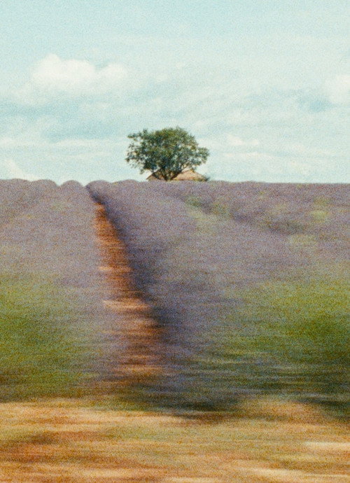 La Mounine ou note après coup sur un ciel de Provence Poster