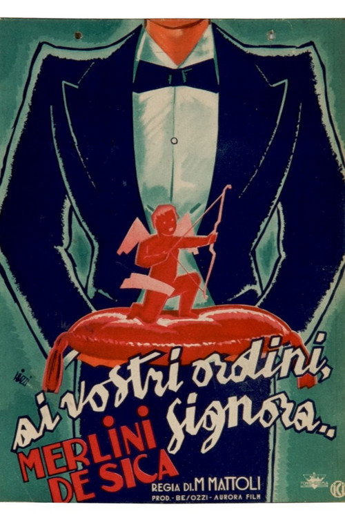 Ai vostri ordini, signora... Poster