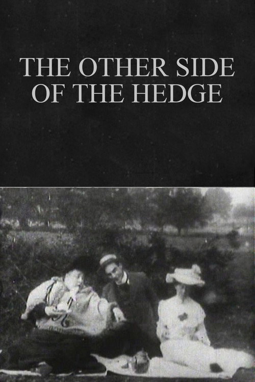 The Other Side of the Hedge Poster