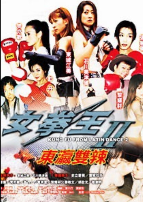 Kung Fu From Latin Dance 2 Poster