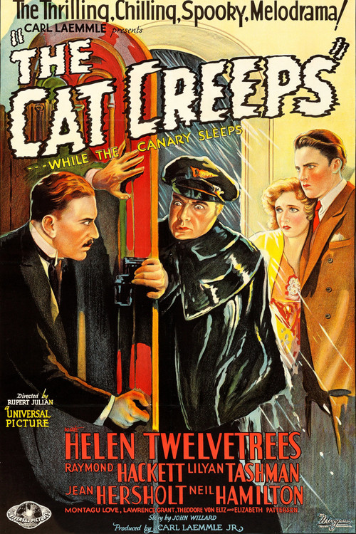 The Cat Creeps Poster