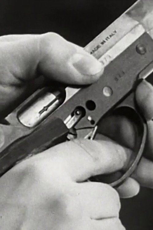 Dalla parte del manico Poster