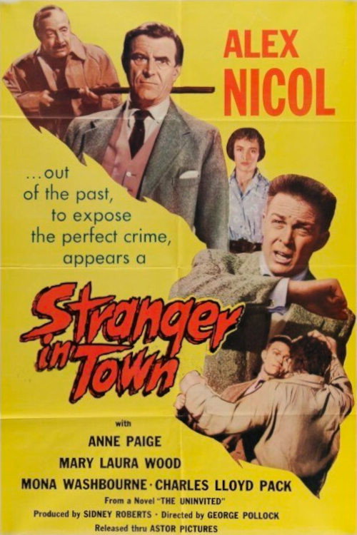 Stranger in Town Poster