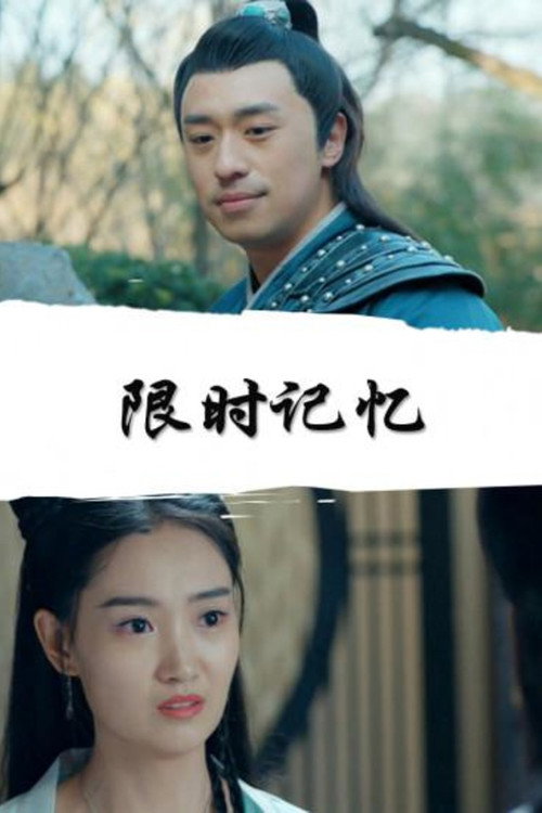 Limited Time Memory Poster