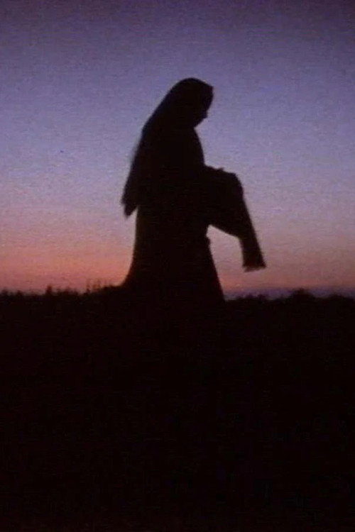 Women in the Shadows Poster