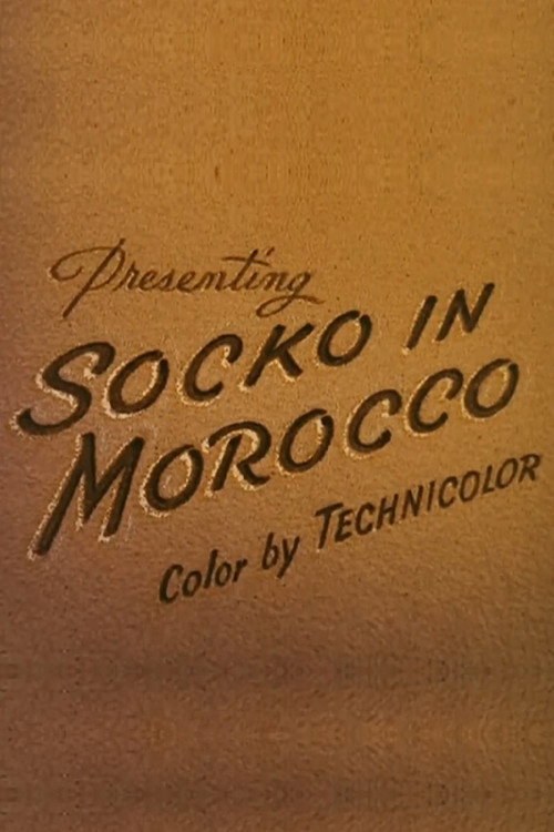 Socko in Morocco Poster