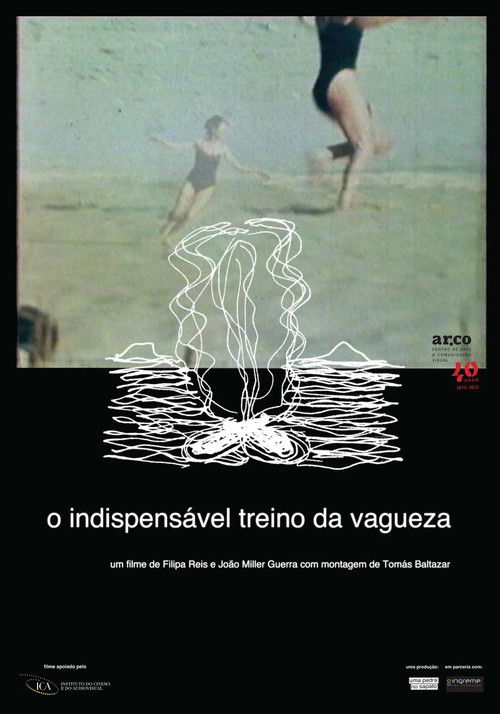 The Indispensable Practice of Vagueness Poster