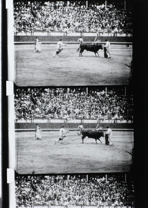 Corrida Poster
