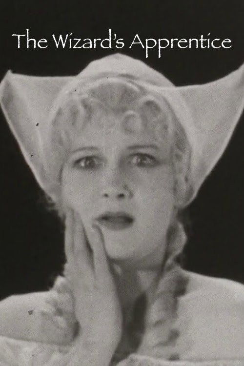 The Wizard's Apprentice Poster