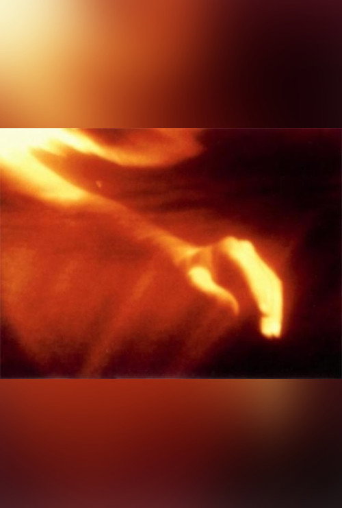 Fire Birth Poster