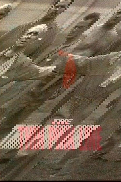 The Thin Pink Line Poster