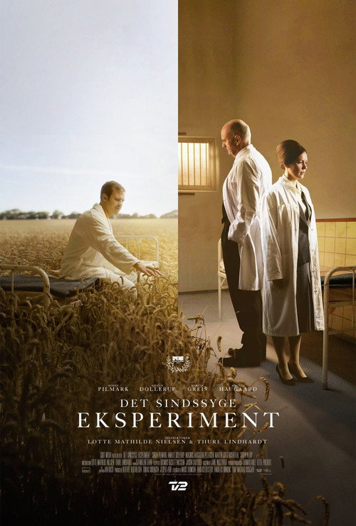 The Insane Experiment Poster