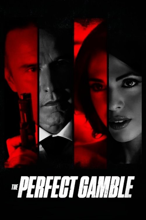 The Perfect Gamble Poster
