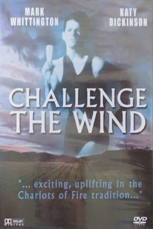 Challenge the Wind Poster