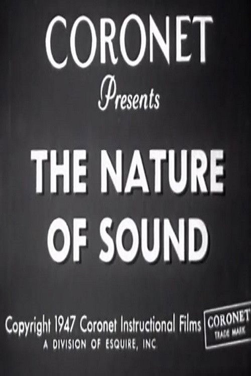 The Nature Of Sound Poster