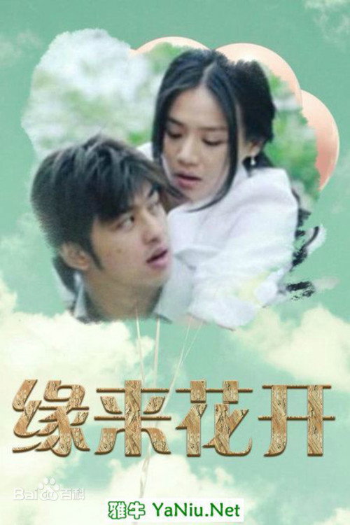 缘来花开 Poster