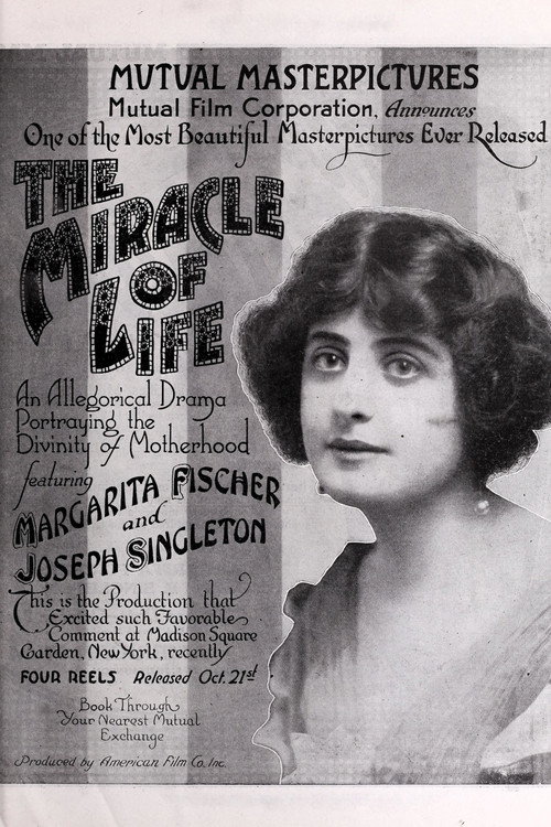 The Miracle of Life Poster