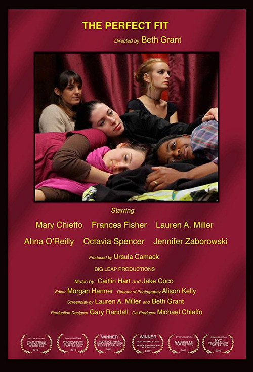 The Perfect Fit Poster