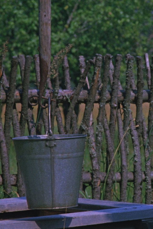 Thirst by the Water Poster