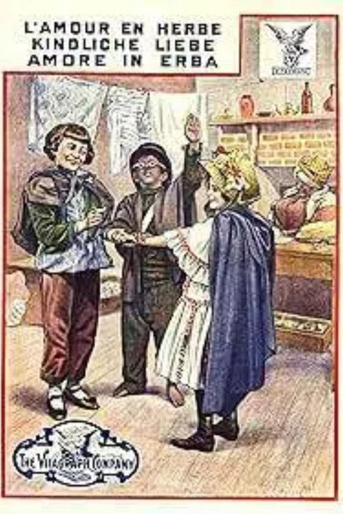 A Juvenile Love Affair Poster